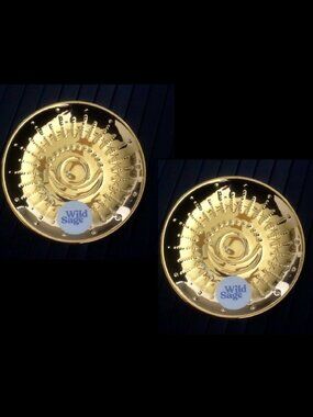 2 brand new Wild Sage Cassidy "Golden" Glam Small Round Vanity Trinket Trays